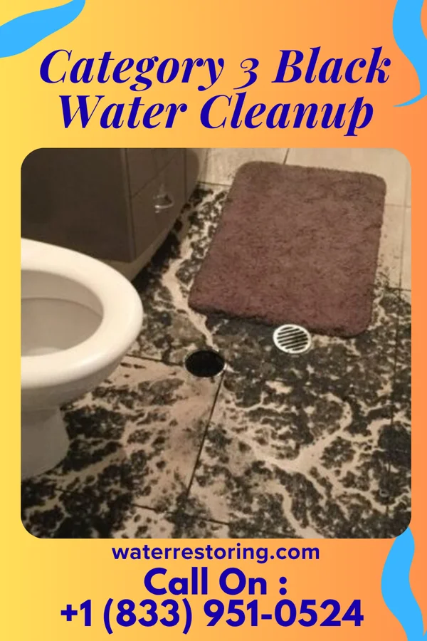 Category 3 Black Water Cleanup in Glendale Heights, IL