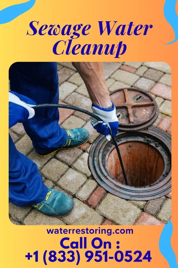Sewage Water Cleanup in Glendale Heights, IL